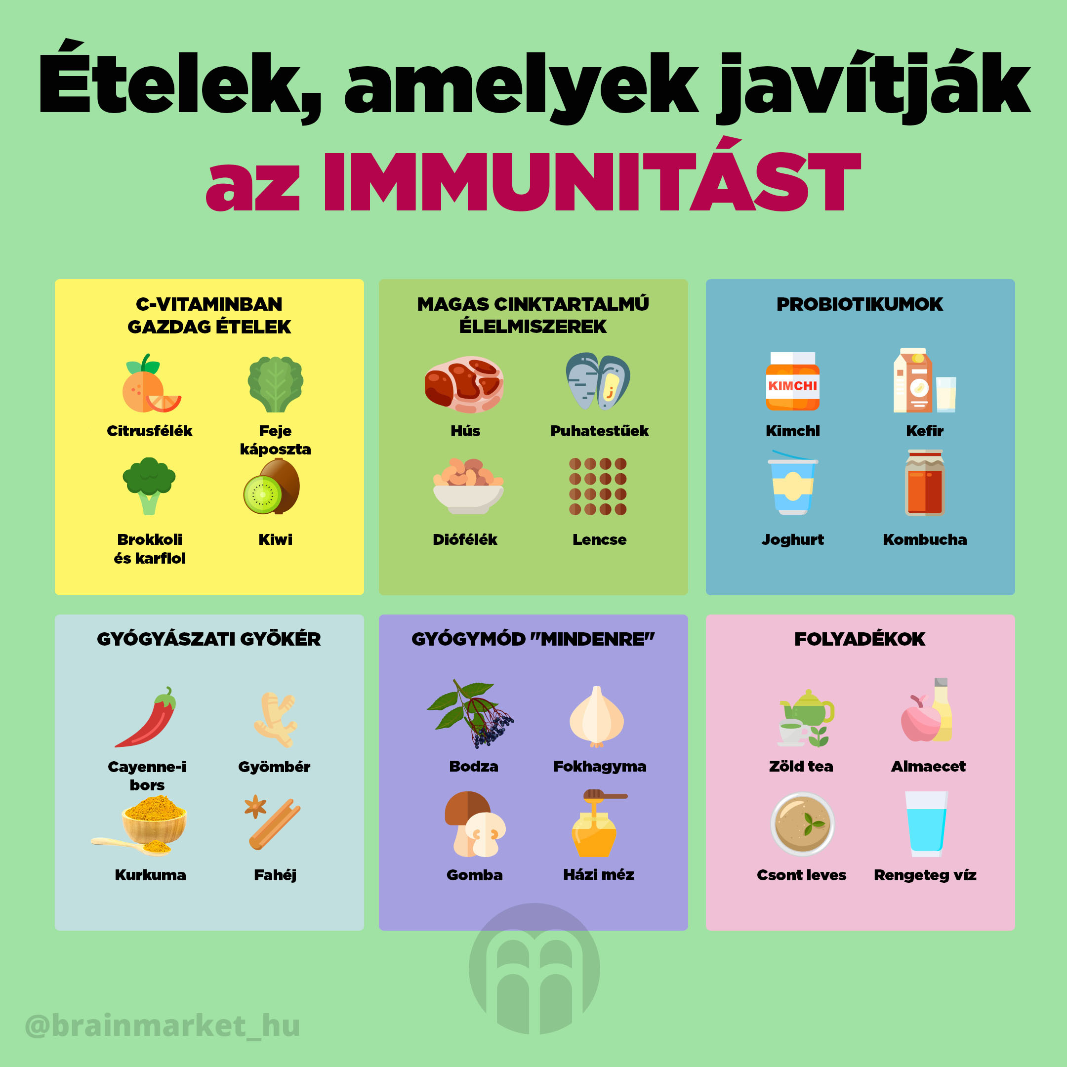 potraviny_zlepsujici_imunitu infografika brainmarket HU